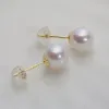 Örhängen klassiker 925 Sterling Silver Stud Natural Freshwater Pearl örhängen Små glödlampa smycken 5A Grade örhängen Akoya pärlörhängen EBA