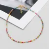 Necklaces Simple Seed Beads Strand Choker Women String Beaded Short Bohemia Clavicle Jewelry Necklace Gift