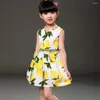 Girl Dresses Boutique Cotton Girls 'Summer and Princess