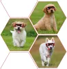 Аксессуары Atuban Goggles для собак, собачьи очки для ультрафиолетовой защиты защиты снеж