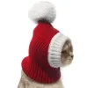 Cappelli inverno pet dog cappello di cappello Natale caldi cappelli da cane piccolo gatto accessori per cani per piccoli cani di grandi dimensioni man czapka dla dla psa