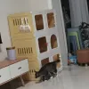 Клетки Home Cat Cages Cat Matd Box Integrated Transparent Cat Villa Indoor Cat Fencet Cate Cats с закрытым туалетом Pet House