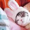 Rabbit ucho kot kapelusz pluszowy króliczek pies cosplay cosplay cosplay kostium na głowę pałąk kotka szczeniaka puppy cap miot na nakrycie głowy na urodziny