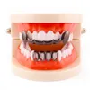 Grills Tigre cavo oro Tiger Hollow-Hip-hop Adatto per uomini e donne Vampire Fangs Halloween Accessori