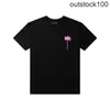 Vêtements de créateurs haut de gamme pour angles PAA Coconut Alphabet T-shirt à manches courtes imprimées hommes Lovers Hip Hop Hop Half manche avec 1: 1 Étiquettes originales