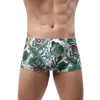 Swim Wear Hot Sell Shigwear Men Men Swim Boxers низкую талию сексуальные купальные купальные шорты шорты Sunga Hombre купание 240423