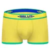 Underpants Herren Unterwäsche Boxer 2024 Jungen Feste Farbbrief Printed Shorts Panties Cotton Ondergoed Mannen Sexy