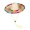 Vêtements de chien sombrero chat soleil chapeau amusant unique mignon tendance colorée à haute demande accessoires de compagnie de plage mini-chiens paille