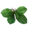 Branche de fleurs décoratives de la feuille d'orchidées Phalaenopsis pour la décoration du bureau à domicile (vert)