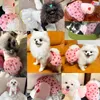 Dog Apparel Summer Dress Luxury Strawberry Skirt Lace Princess Chihuahua Bichon Korean Clothes 2024 Puppy Costume