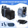 Bags Pet Backpack Expandable Foldable Cat Carrier for Small Medium Dog and Cat Transport Dog Bag Large Space Pets Carrier with Zipper