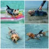 Västar Summer Dog Life Jacket Lifesaver Swimwear Shark Vests With Rescue Handle Hand Dog Safety Swimsuit For Outdoor Pool Beach Boating