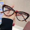 Zonnebrillen Vintage Cat Eye Triangle Frame Anti-blauw Lichtglazen klassieke vrouwen lezen brillen Retro transparante bril