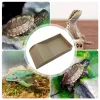 Terrariums Turtle Water Bowl Tortoise Voedselgerecht met helling en koesteren platform Pet Turtle Habitat Amfibiërs Habitat voor schildpaddenhagedissen