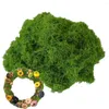 Decorative Flowers Artificial Garden Grass Wool-Like Moss Breathable Colorfast For Making Aquariums Paintings