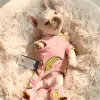 Jackor husdjurskläder Autumn Winter Dog Four benkläder för hundar Jumpsuit Pyjamas Banana French Bulldog Clothes Dogs Pets Clothing