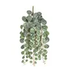 Fiori decorativi simulato pianta rattan decorazione cucina a bassa manutenzione a corda appesa artificiale di piante cardiache finte eucalipto per parete