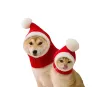 Accessoires Pet Hat Hiver Headgear Pet Christmas Chapeau Funny Costume ACCESSOIRES PET POUR LES PETTEMENTS GRAND CHIBES HABLAGE DES PROPOSSIONS CHIENS