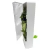 Bacs Herb Saver Premium Herb Storage Container maintient les légumes verts