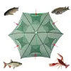 Accessoires Regenschirm NET FALTING FISHNET HABER BROBSKORBSKABE FÜR FISCH FEEDER CATCHER HASTER SHOSTER SHRIMP CRAB KAGE TOOL 420 Löcher