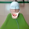 枕歯科用椅子枕フレームシミュレータートレーニング歯科マニキンファントムヘッドモデル