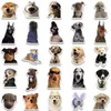 50 stcs Internat Celebrity Dog Meme Stickers Funny Dog Graffiti Sticker voor DIY Bagage Laptop Skateboard Motorfietsfietsstickers