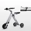 Rowerowy rower rowerowy Prosty kształt Mini EBIKE TRREGHEEL Folding dla dorosłych pojedynczych inteligentnych rowerów 24 V 300W aluminium