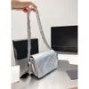 Chanellly CChanel Chanelllies CC Classic Old Bag Female Students Quilting 23ss Mini Years Mesh Chain Thickening Classic Flap Crossbody Bag Calf Luxury Designe 8MIA