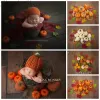 Accessoires nouveau-nés Halloween Photographie accessoires couverture couverture bébé Photoshoot Tissu en toile d'automne Pumpkin Foto accessoires Fotografia accessoires