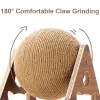 Toys Pet Interactive Cat Toy Cat Board Sisal Rope Ball Cat Scratching Post Alivio al alivio de los accesorios de los accesorios del gatito de aburrimiento