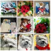 Pillow Animal Series Latch Hook Kits Dogs Dogs 3D Bordado Bordado Almohada Alfombra cruzada Bordado de bordado de bricolaje Knooppakket