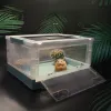 Terrariums Jaula Hamster Cage Huizen Inklapbare reptielen Terrarium Hedgehog Voedingsdoos Moderne PET Breeding Tank