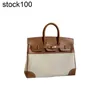 Sac pour femmes Platinum Sac 2024 Tissu d'automne et haut de gamme hiver