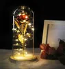 6 renkli kırmızı gül şişe bir cam kubbe sevgililer için ahşap bir taban üzerinde hediye led gül lambaları Noel düğün dekorasyonu44453388