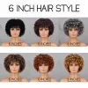 Wigs Brown Curly Short Hair African Curly Wig With Fringe Gradient Hair For Black Women African Synthetic Omber Nonglue Cosplay Wiay