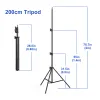 Tripés 110/160/200cm Tripé para câmera de telefone GoPro Aluminium Lightweight dobrável portador de telefone Tripode Tripode Pour Smartphone