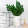 Fleurs décoratives 70g Natural séché Penglai Pine Aigneaux Home Room Decor Accessoires Bohemian Chic Decoration Fournitures de mariage Bouquets