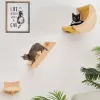 スクラッカー1PCWALLMOUNTED CAT HAMMOCK WOOD PET FURNITURE CAT WALL SHEELLS CAT TREE TREAR