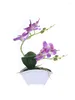 Dekorative Blumen künstliche Blumenschmuck Doppelgabel Phalaenopsis Creative Bonsai (mit Töpfen) Pflanzenpflanzen FZ129