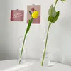 Vasi Nordic Vase Vase Flower Dispagy Art Modern Creative Creative Spherical Bubble Pot per soggiorno Regali di decorazione per la casa