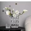 VASI Brilliant Crystal Glass Vaso Desta decorazione Floral Hydroponics Flower Pots Dispositiva decorativa decorazione moderna