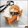 Hondenkragen ontleent klassieke oude bloemenhonden kragen riem set mode esigner honden kraag verstelbare puppy riem riem pet outdoor r dh4dm