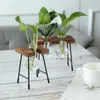 Vases Terrarium Frame en bois Hydroponic Plant Green Plants Pot Transparent Vase Tabletop Decoration Bure