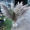 Decorative Flowers 80-120cm Big Pampas Grass Gray Large Long Natural Dried Fluffy Artificial For Home Boho Decor Wedding Decoration