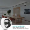 Akcesoria Symulacja Dome Manekin Fałszywy monitor bezpieczeństwa Alarm miganie światła LED
