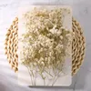 Fiori decorativi 50pcs Mini Bisth Baby Bisth Flower Gypsopila Avorio Naturale per Vase Wedding Office Home Office Giardino Card Card Creazione