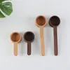 Herramientas de medición La cuchara de madera de nogal negro Campa de mesa Coffee Spoons Honey Spoons revoloteando la especie de azúcar Medida para la cocina