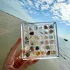 Decorative Plates Acrylic Magnetic Seashell Display Box 36/64 Grids Storage Rock Case For Bead Nail Jewelry