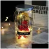 Gerçek dekoratif gül çelenkleri şişe cam kubbe etli koruyan Korunmuş Sevgililer Günü hediye kız arkadaşı bırakma evi Gar Dhlo1 Valentes