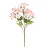 Fleurs décoratives Fleur artificielle Bouquet de fumée et de pluie Orchidée Home Mariages muraux accessoires de bricolage